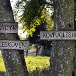 Ugleskov-Silkeborg-Rovfugleshow